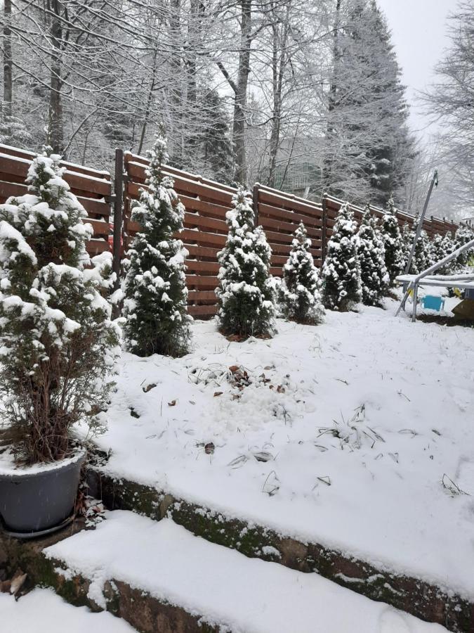 Villa Quad Poiana Brasov Exterior photo