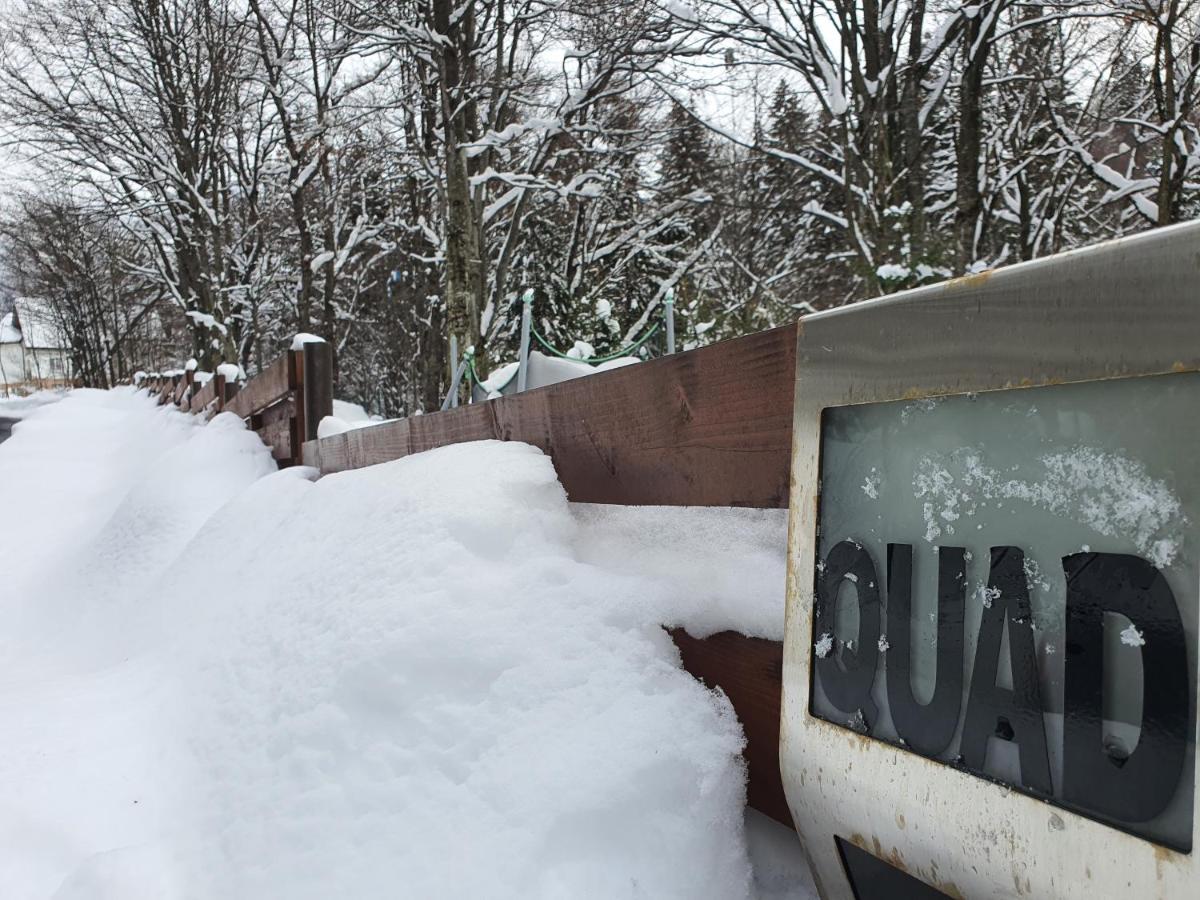 Villa Quad Poiana Brasov Exterior photo