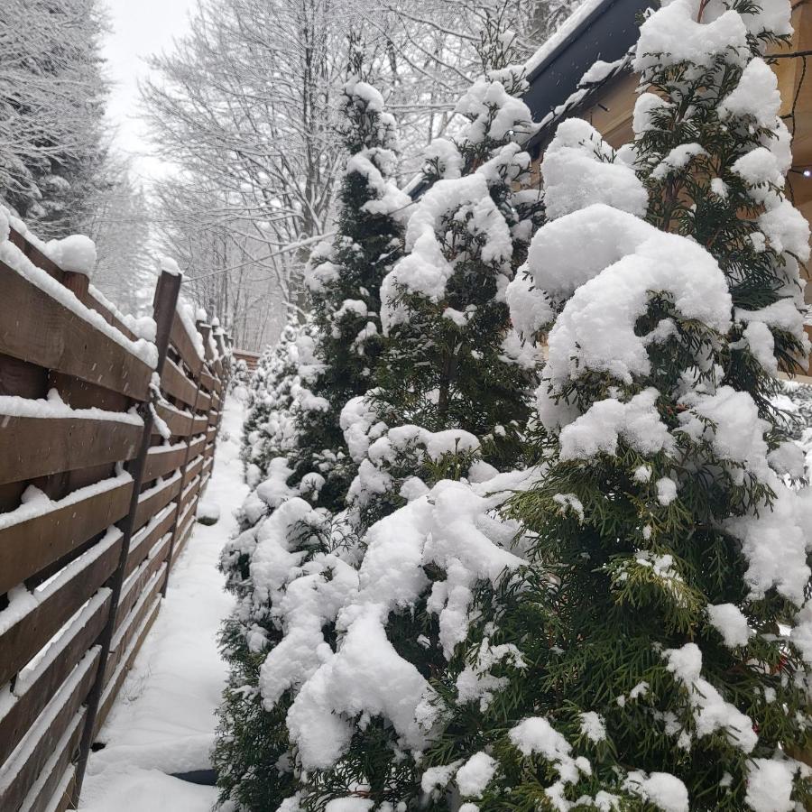 Villa Quad Poiana Brasov Exterior photo